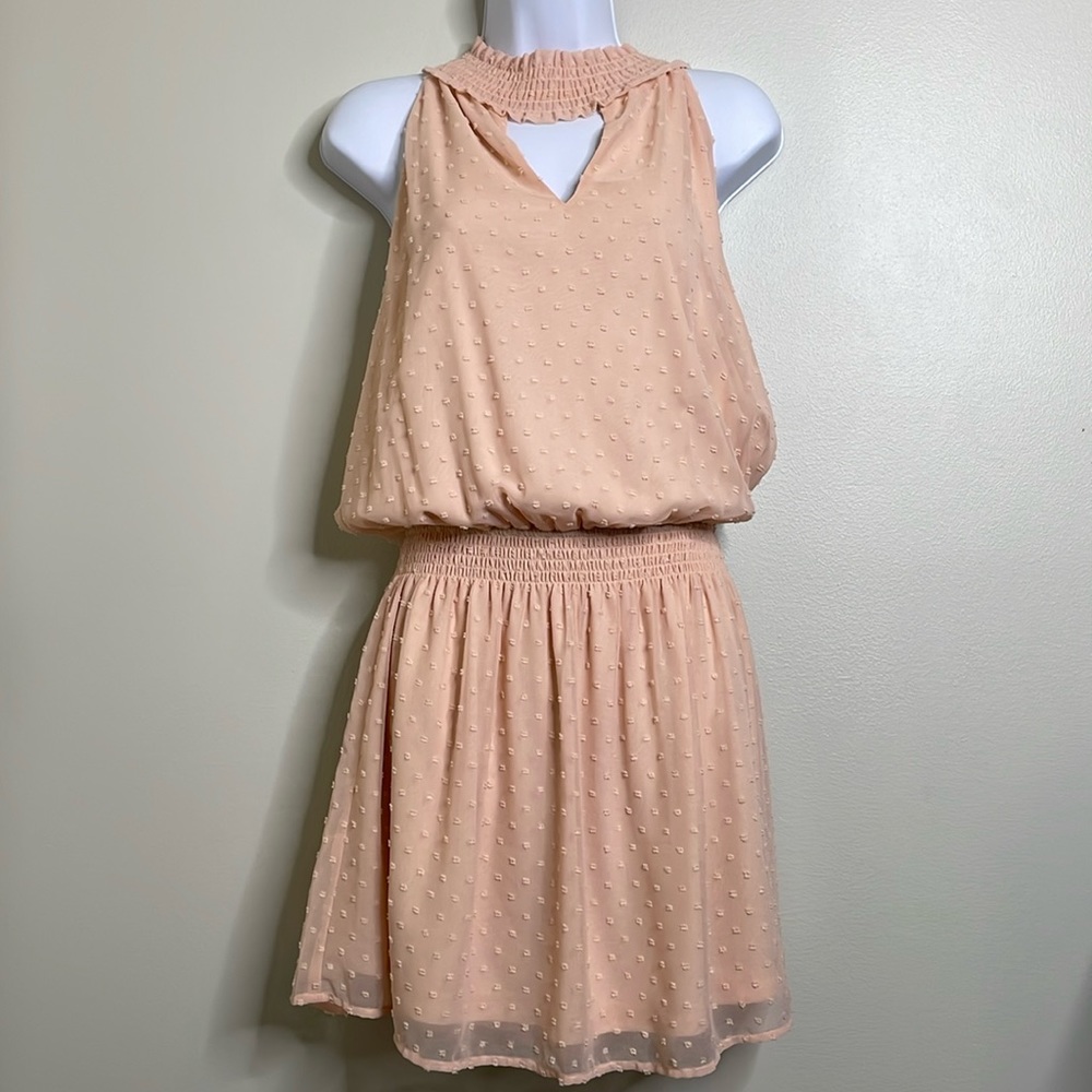 Entro Swiss Dot Dusty Pink Chiffon High Neck Knee Length Sleeveless Dress Small